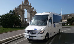 D'Agostino Viaggi e Turismo